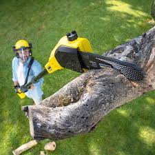 Best Lawn Mowing  in Davis, CA